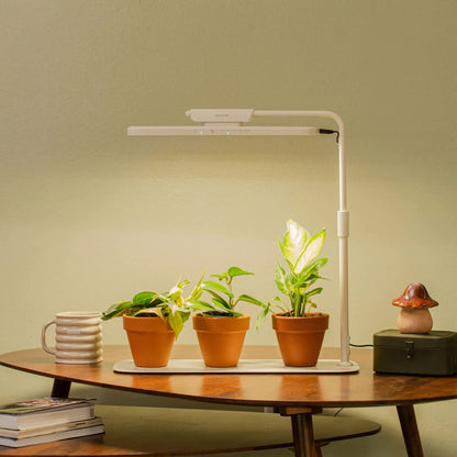 El soporte de luz de cultivo Vego