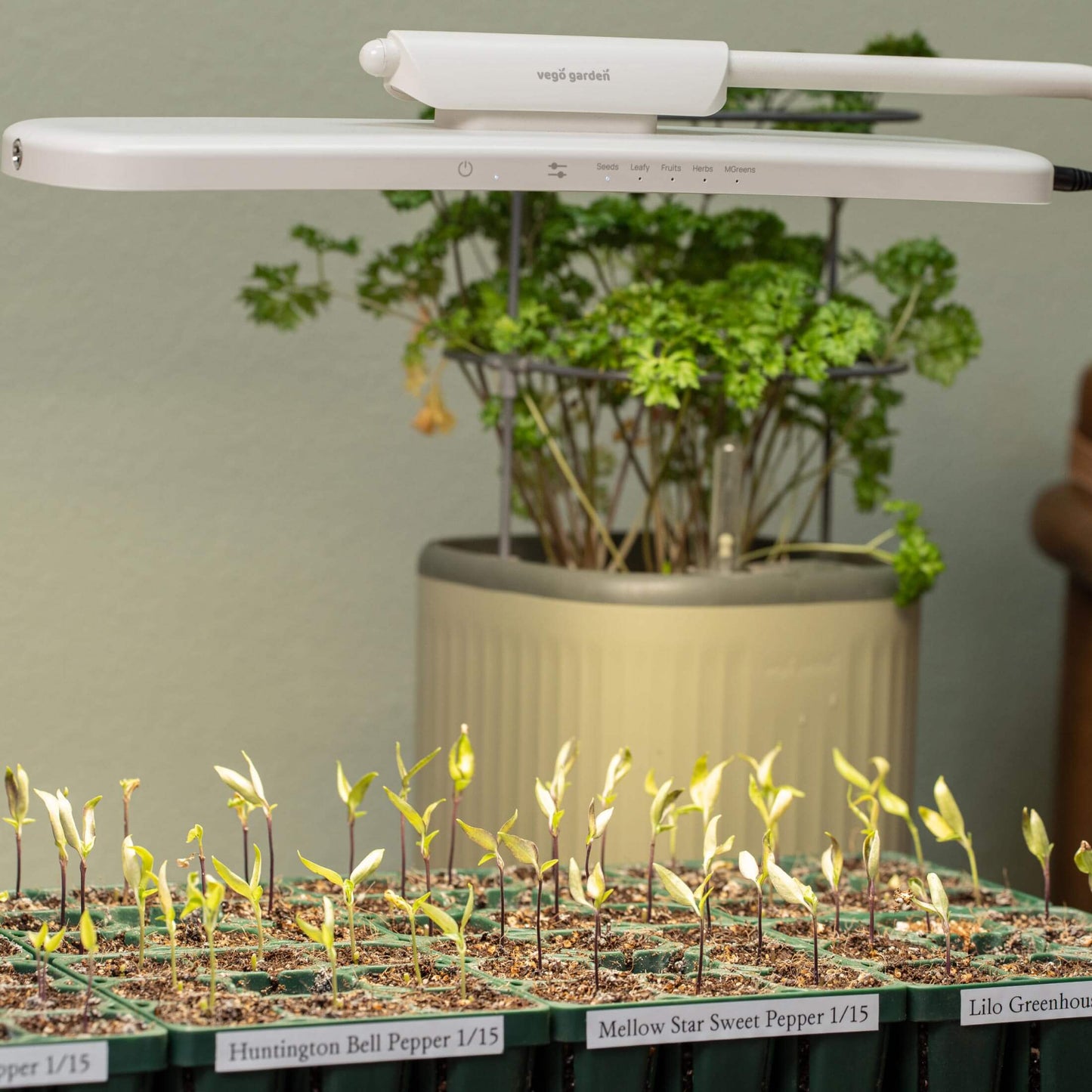 The Vego Grow Light Stand