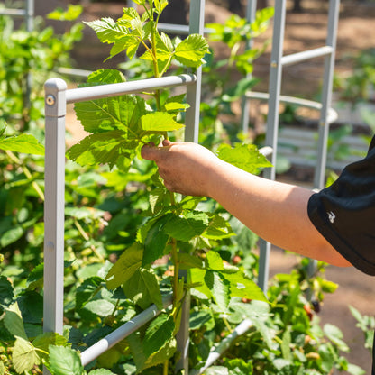 Sistema de enrejado de pared