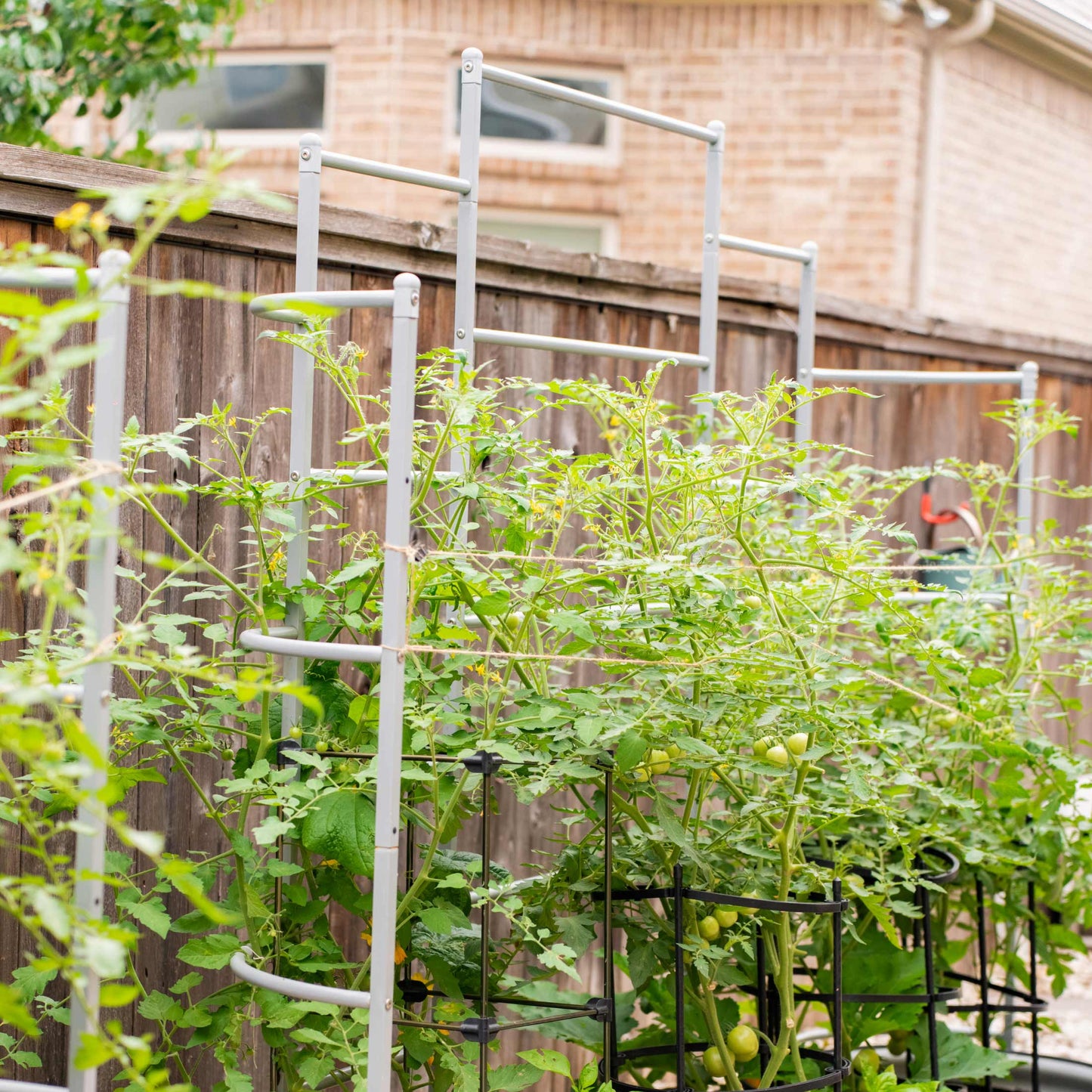 Wall Trellis System