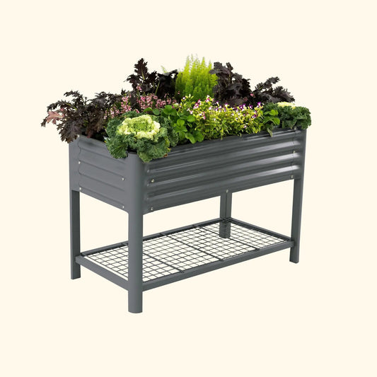 Elevated Garden Bed 2' x 4' gray metal planter with lower shelf, filled with greens on Tampa Home & Garden Store