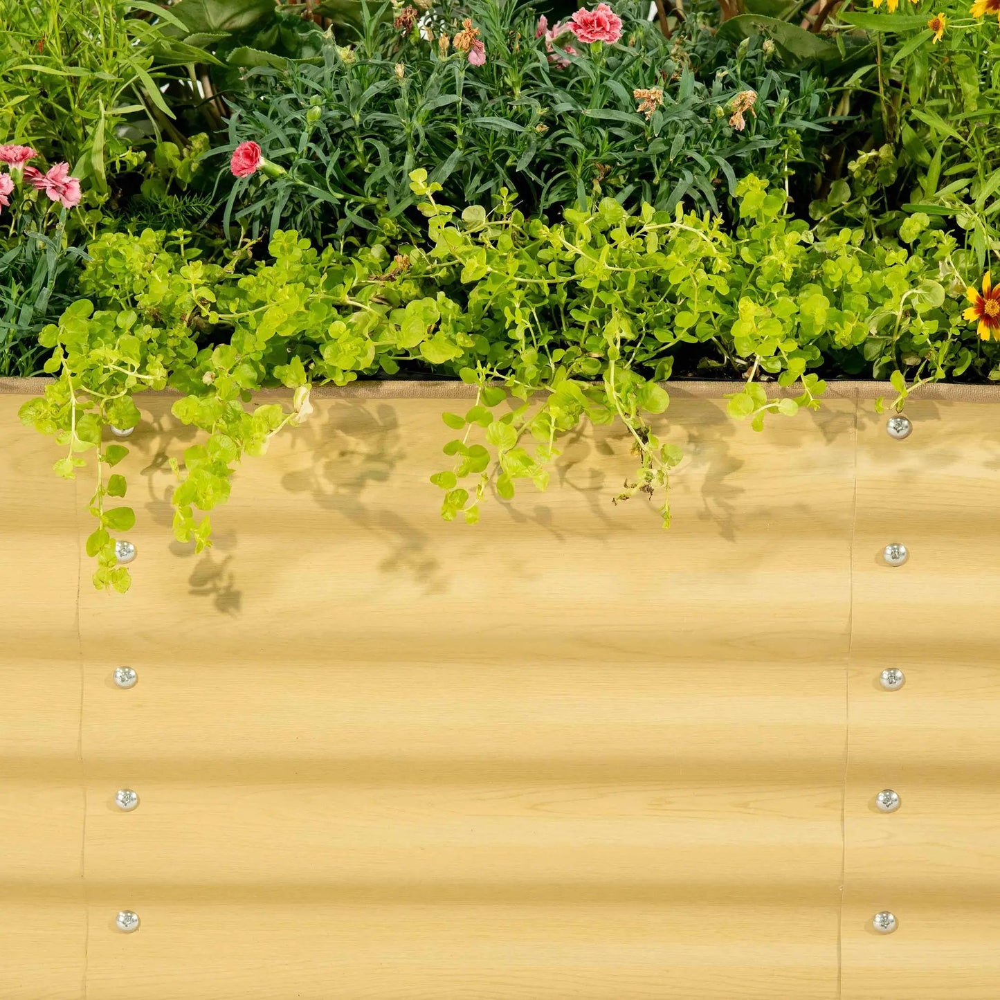 Jumbo 10 in 1 Modular Raised Garden Bed