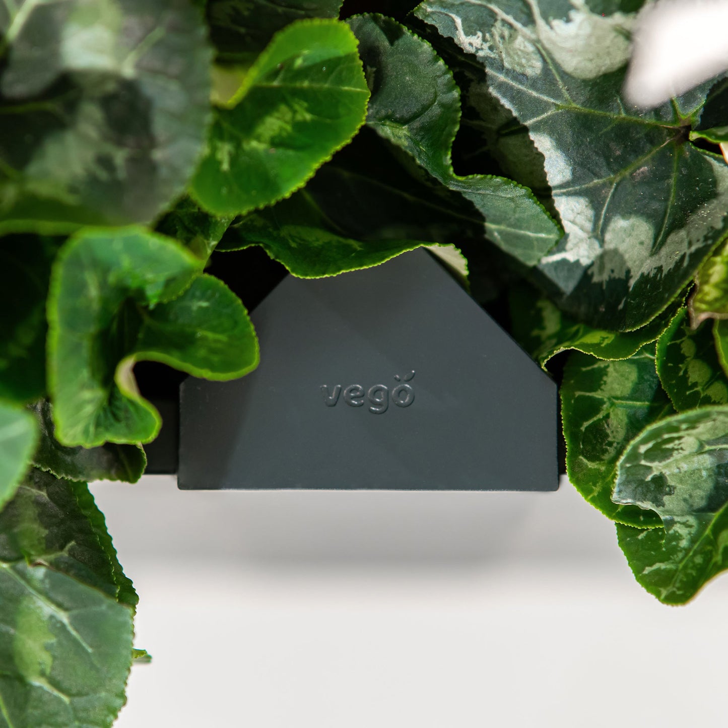 32" Tall Modern Raised Garden Bed Square 42" x 42" Metal