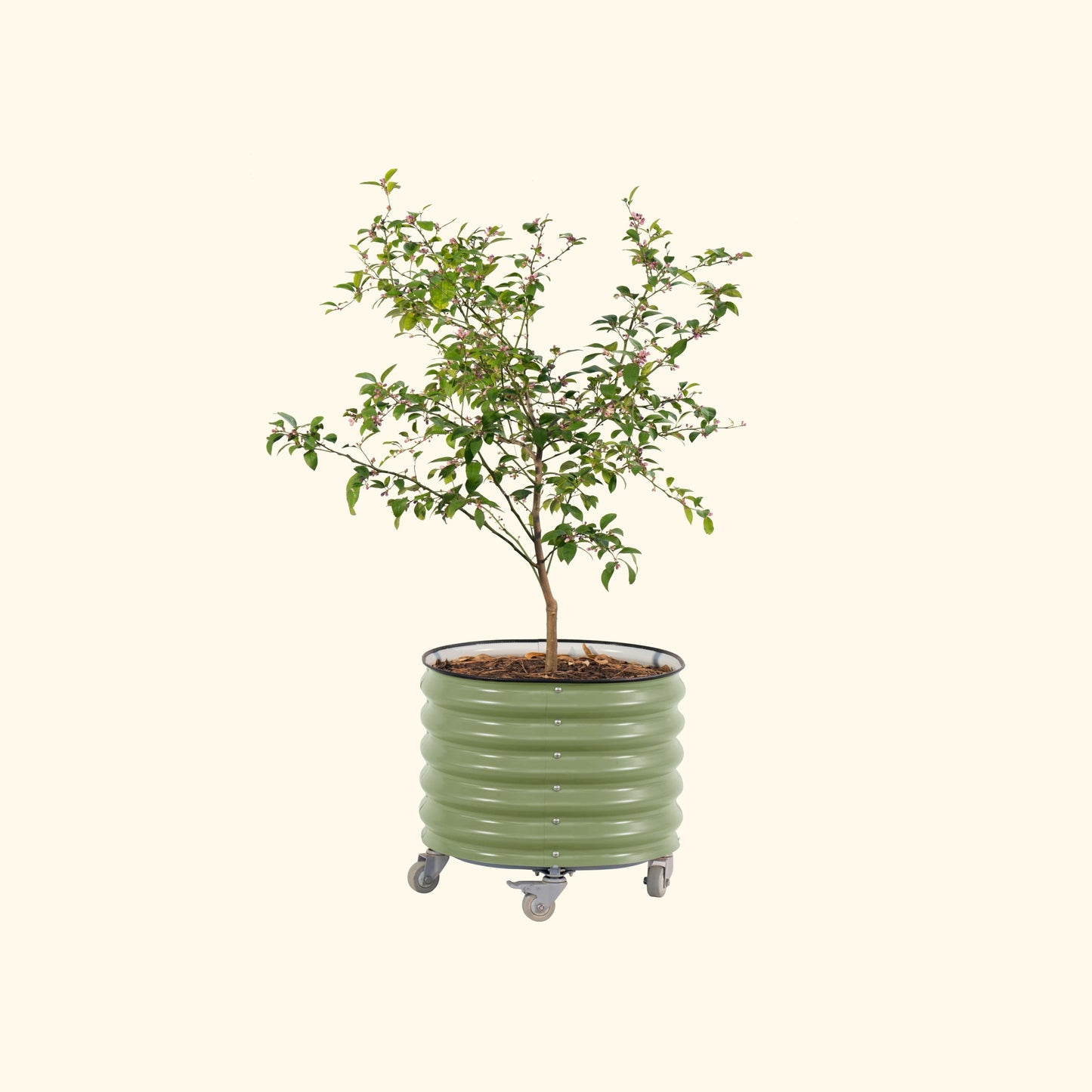 Rolling Planter Self-Watering | 2ft x 2ft