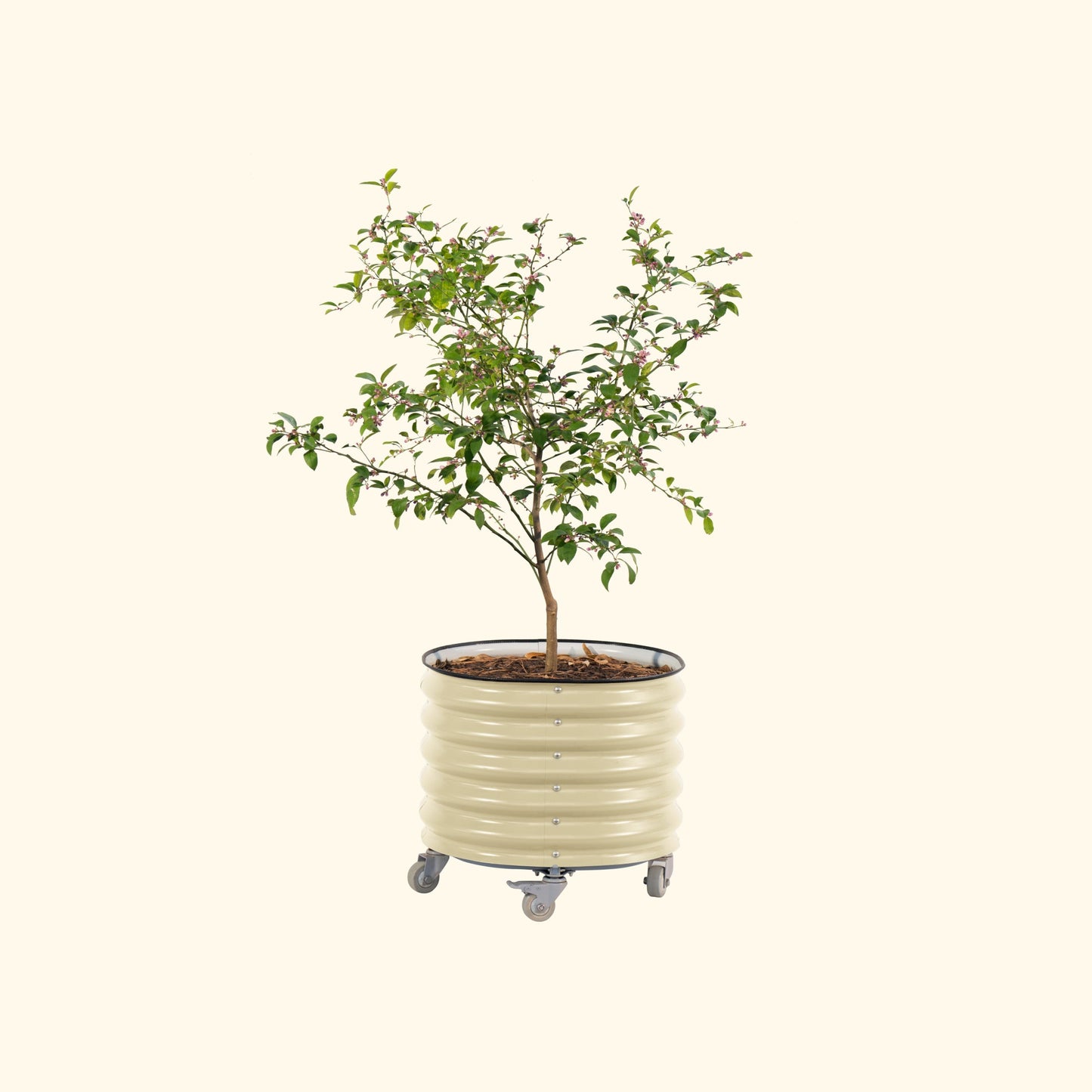 Rolling Planter Self-Watering | 2ft x 2ft