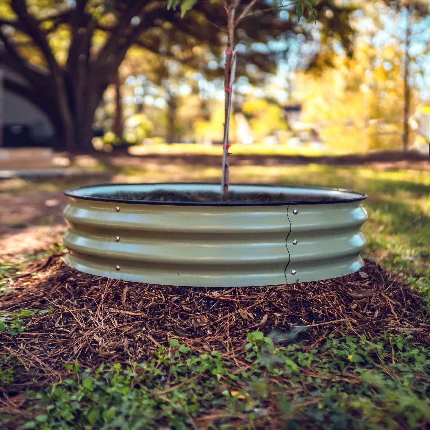 Tree Surround & Tree Watering Ring Kit