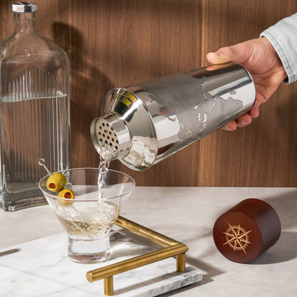 Globe and Compass Cocktail Shaker for a Traveler