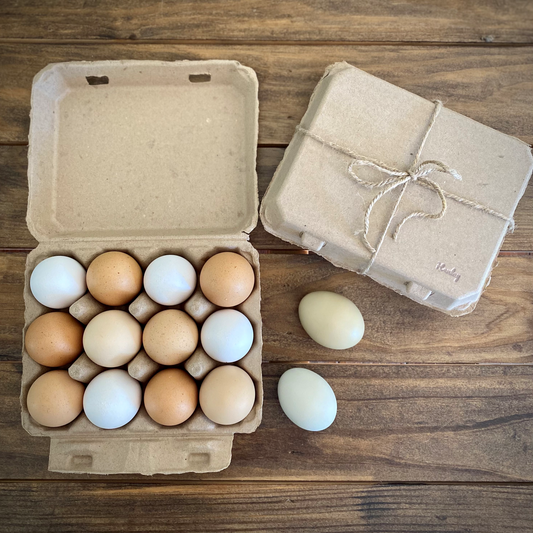 Henlay Vintage Blank Egg Cartons, Classic 3x4 Design, 2 Colors, 25, 75, or 200 Pack - Tampa Home & Garden Store