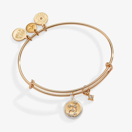 Virgo Zodiac Charm Bangle by ALEX AND ANI, gold-tone bracelet with circular medallion and star charms on Tampa Home & Garden Store