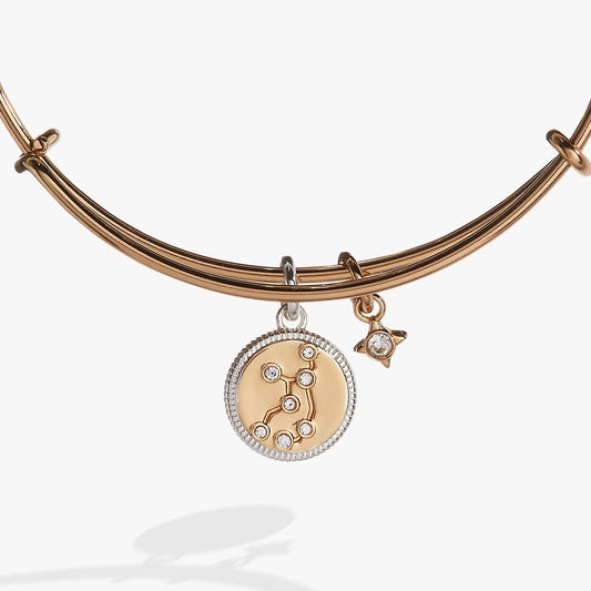 Virgo Zodiac Charm Bangle by ALEX AND ANI in rose gold with crystal pendant on Tampa Home & Garden Store