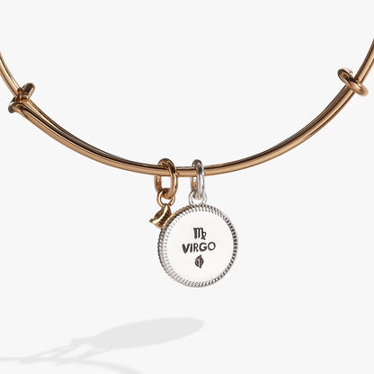 Virgo Zodiac Charm Bangle by ALEX AND ANI in rose-gold tone with a round charm reading MR VIRGO on Tampa Home & Garden Store
