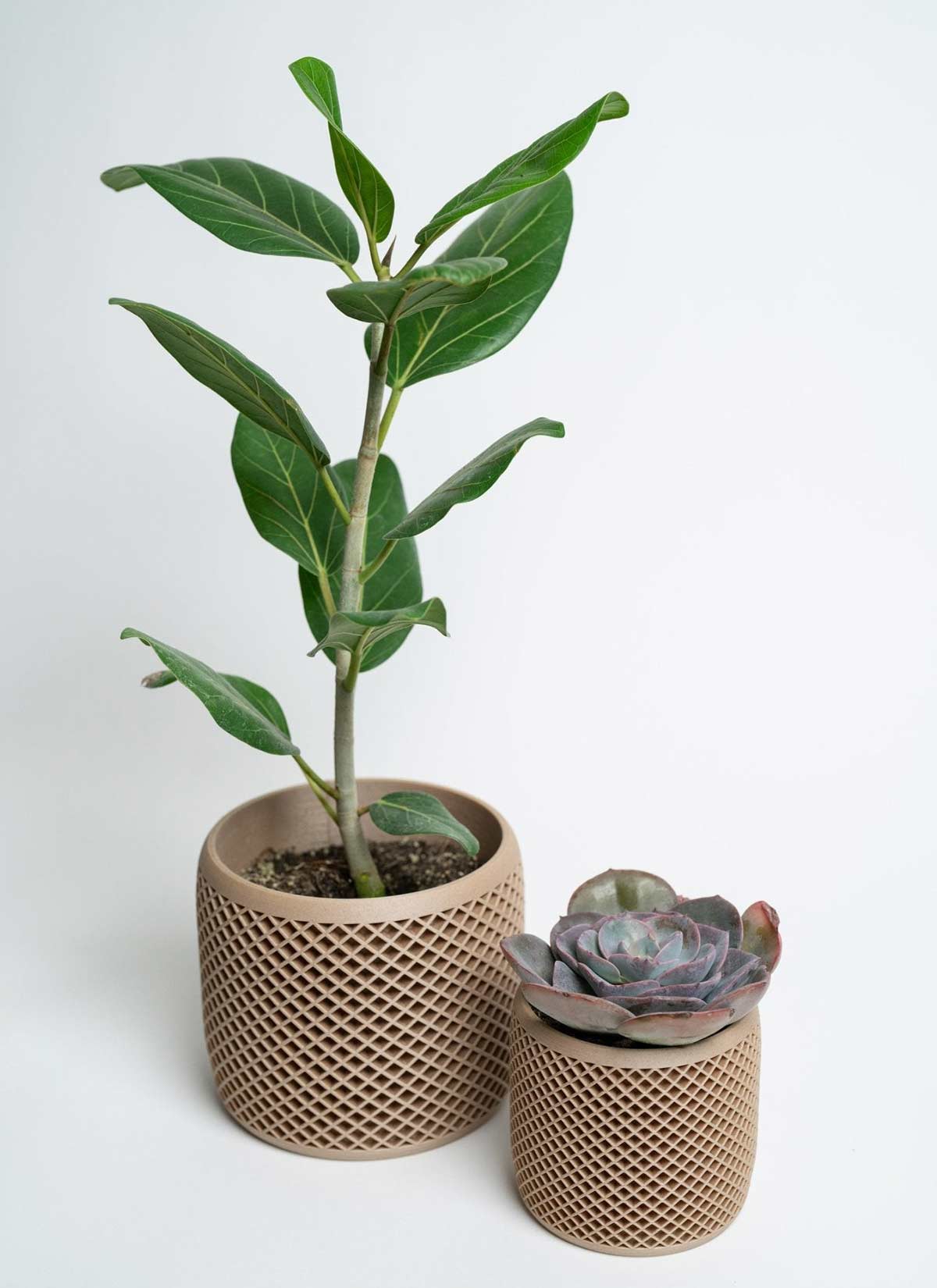 Vision Modern Indoor Planter