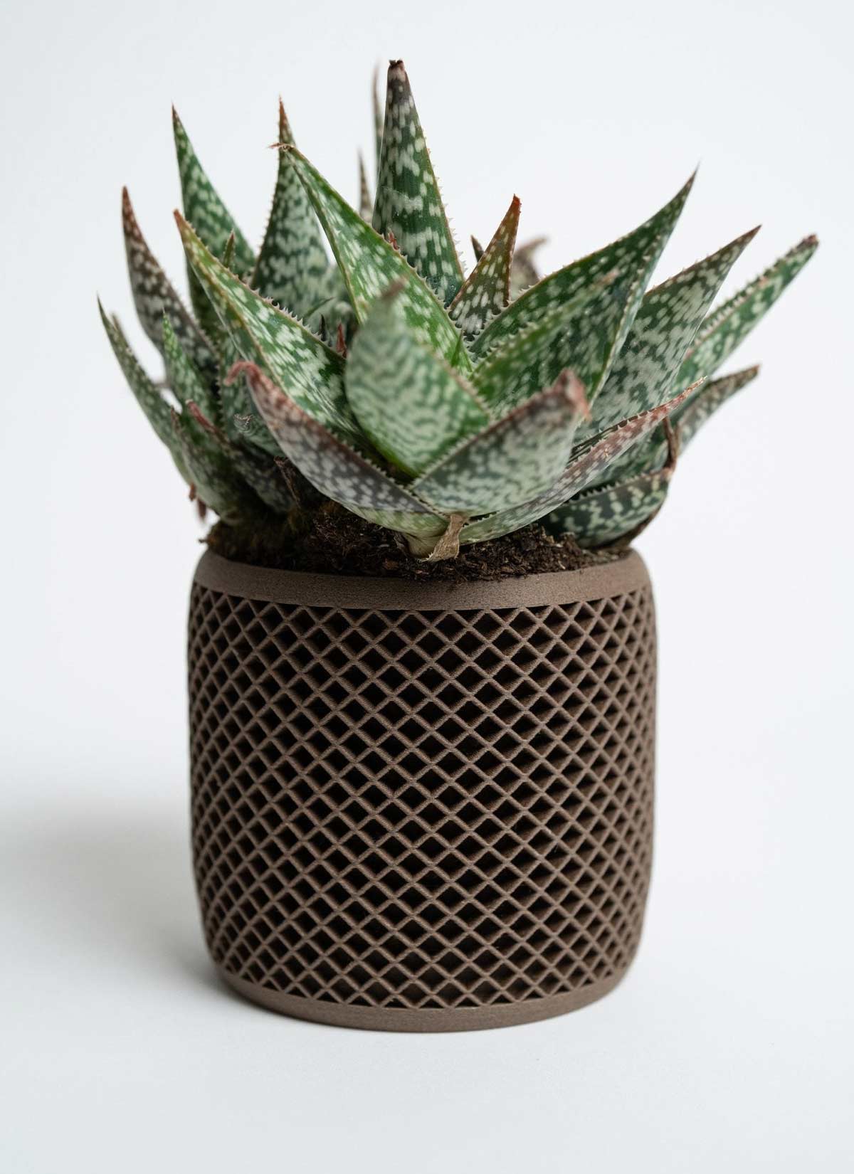 Vision Modern Indoor Planter