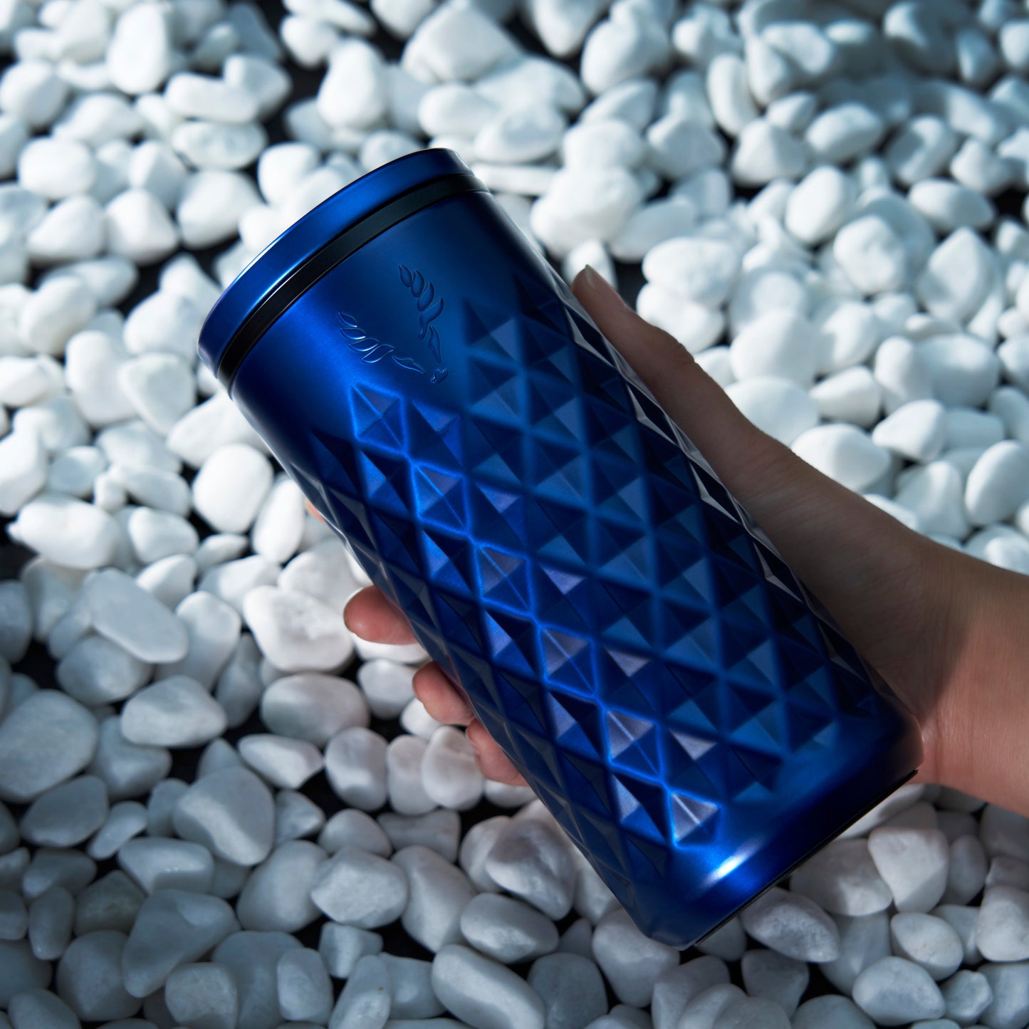 Paragon Stainless Steel Highball Tumbler in Blue