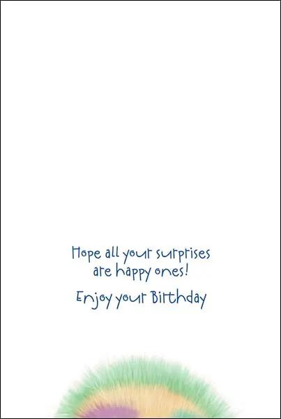 Birthday Card Stylin With Full Color Interior blue handwritten message and rainbow edge on Tampa Home & Garden Store