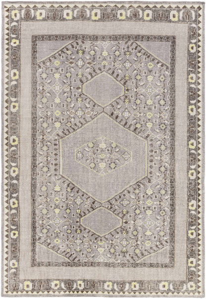 Walden Area Rug by Boutique Rugs in muted gray beige with hexagonal medallions and bordered edge on Tampa Home & Garden Store
