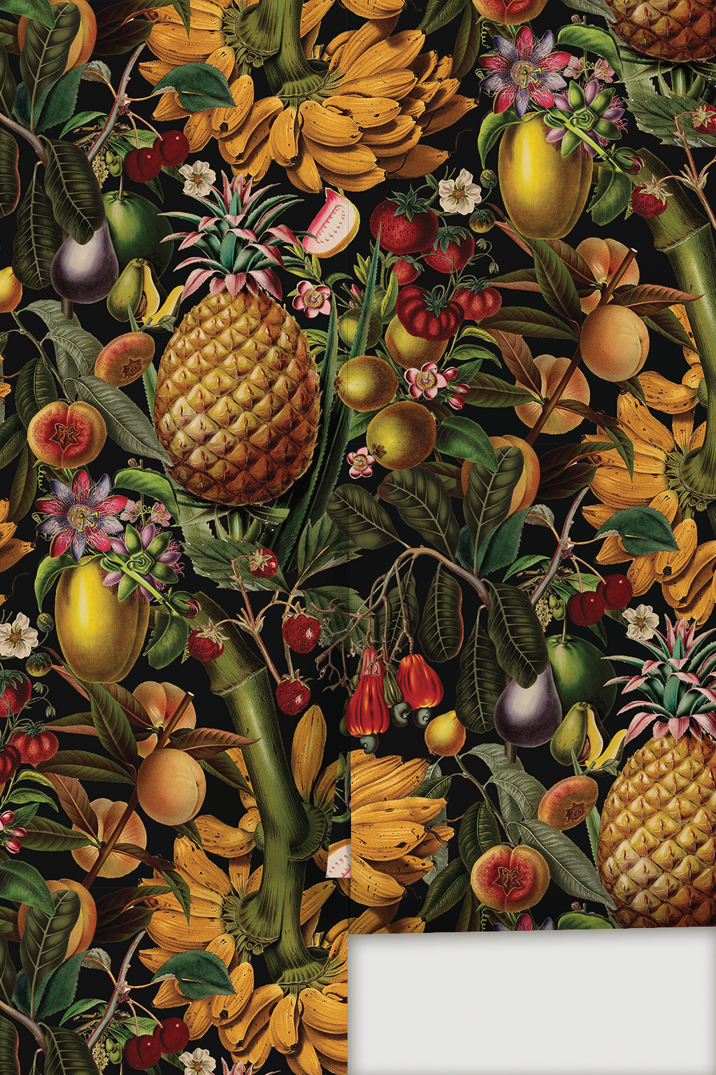 Papier peint Juicy Fruit, noir