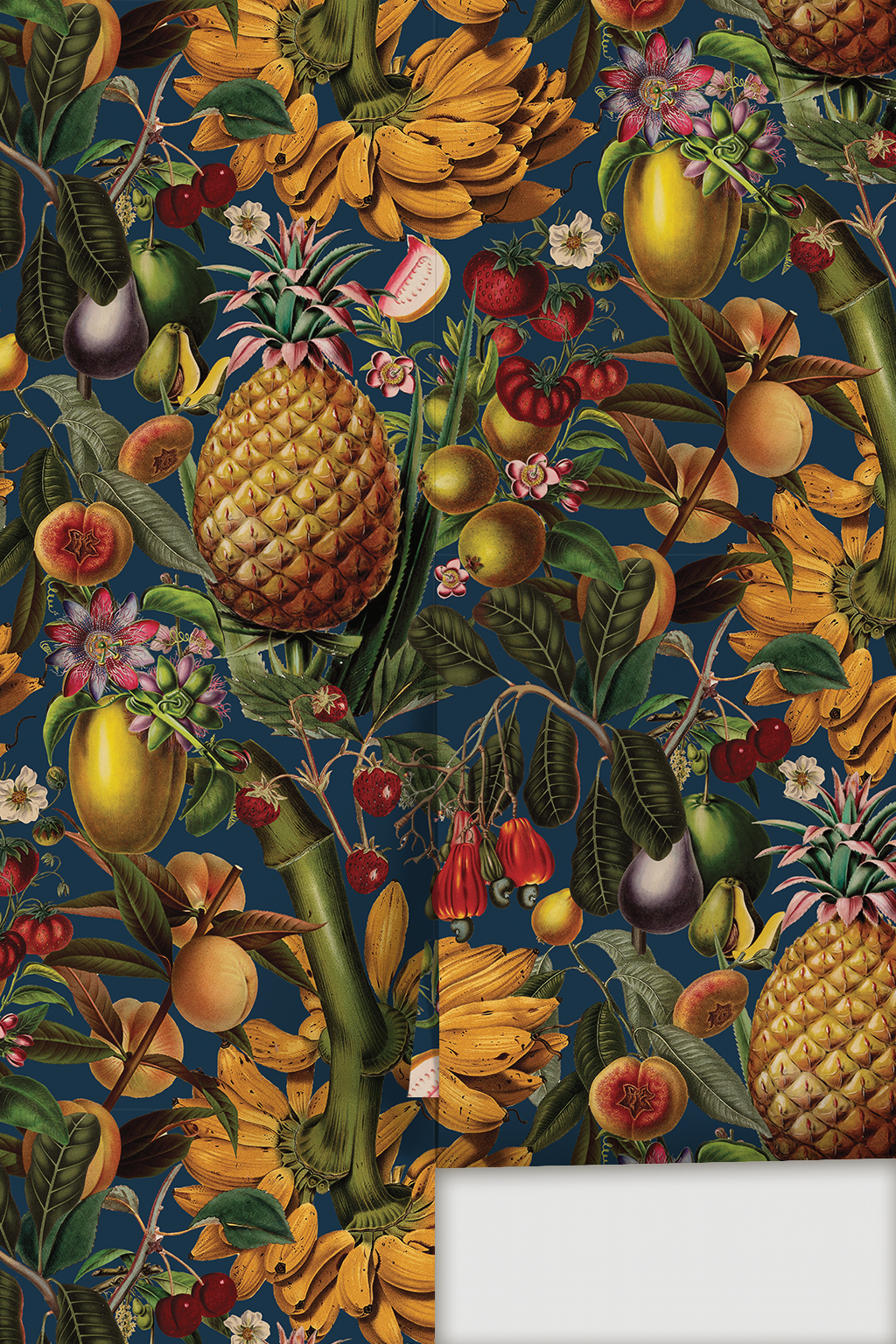 Papel pintado de frutas jugosas, azul marino