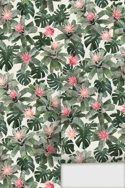 Rad Bromeliad Wallpaper, white