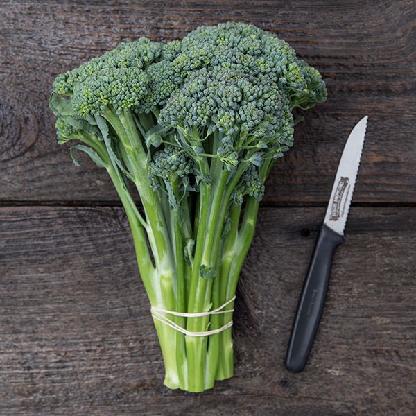 Waltham 29 broccoli heads, green stems tied in a bundle on rustic wood with a knife nearby on Tampa Home & Garden Store
