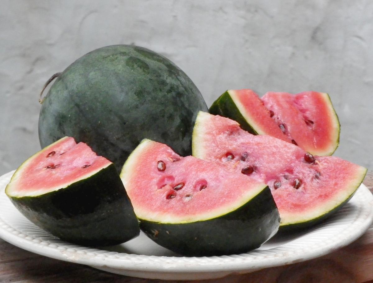 Sugar Baby Watermelon with pink flesh and green rind on a plate on Tampa Home & Garden Store