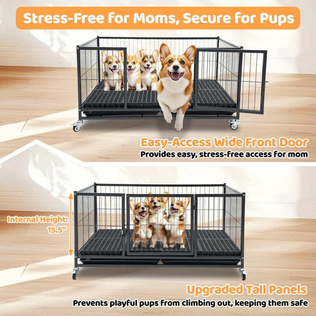 42-inch Dog Crate by Homey Pet Official, metal crate on wheels with front door, 4 dogs inside on Tampa Home & Garden Store
