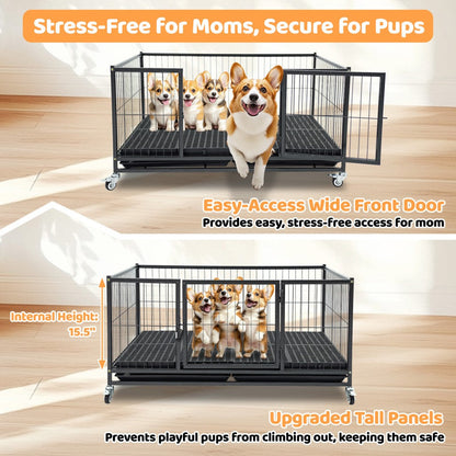 42-inch Dog Crate by Homey Pet Official, metal crate on wheels with front door, 4 dogs inside on Tampa Home & Garden Store