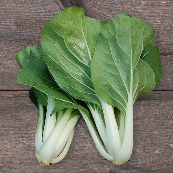 White Stemmed Pac Choy leafy greens with crisp white stems on Tampa Home & Garden Store