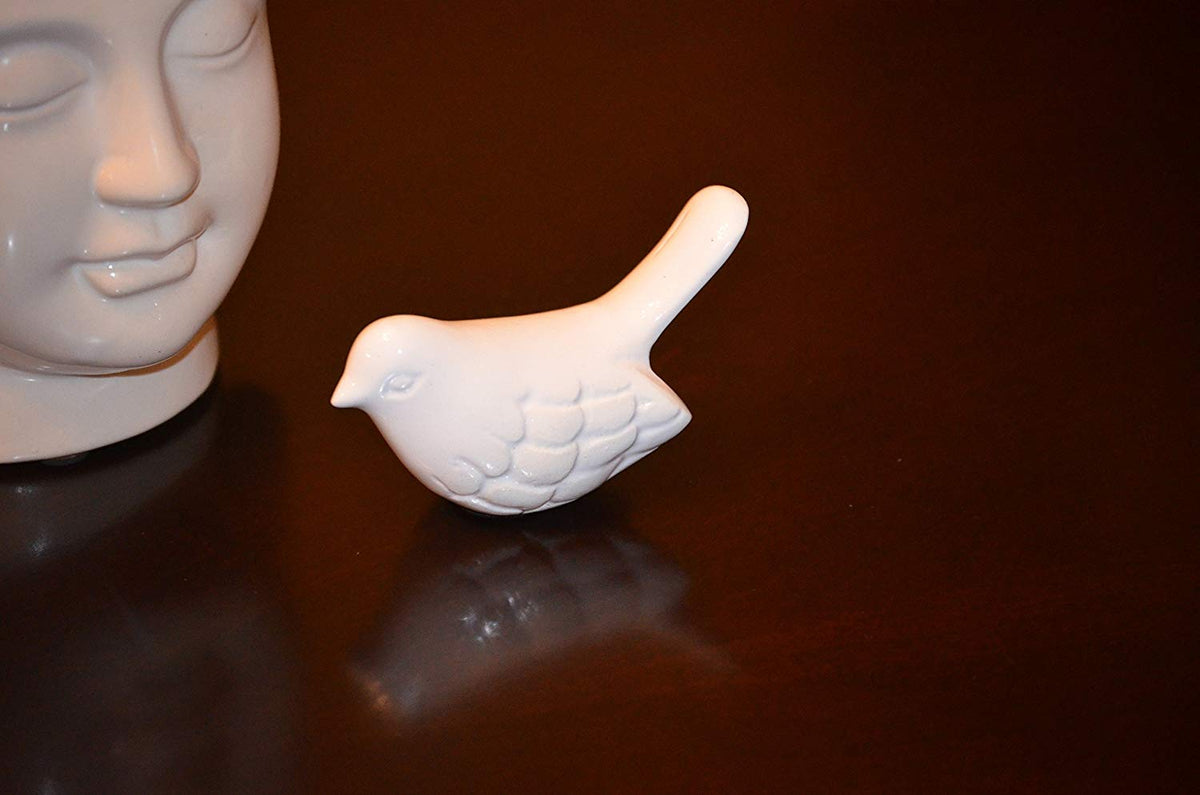 Vibhsa white ceramic bird figurine with sculpted feather details on a dark surface on Tampa Home & Garden Store