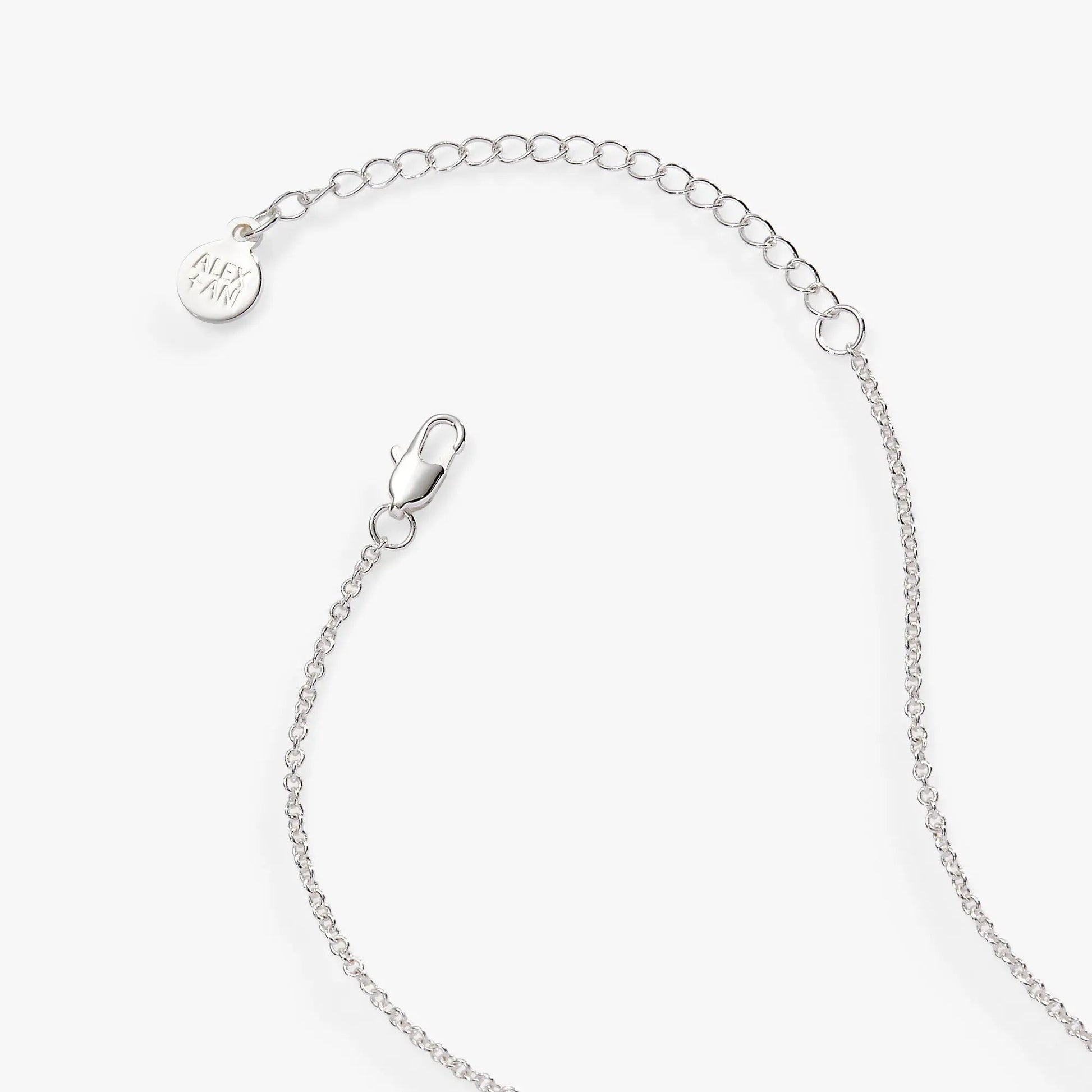 Wild at Heart Duo Charm Pendant Necklace silver-tone with Alex and Ani circular charm on Tampa Home & Garden Store