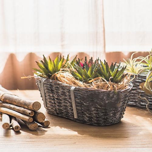Willow Planter Cuisine hanging planter set of 2 in dark wicker with succulents RusticReach on Tampa Home & Garden Store
