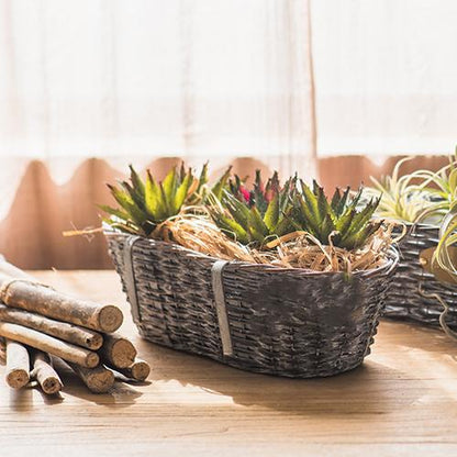 Willow Planter Cuisine hanging planter set of 2 in dark wicker with succulents RusticReach on Tampa Home & Garden Store
