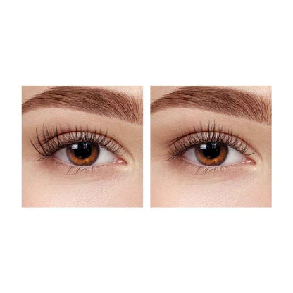 Wispies DIY Lash Extension Kit Shaketea, false eyelashes cluster lashes, dual-eye close-up on Tampa Home & Garden Store