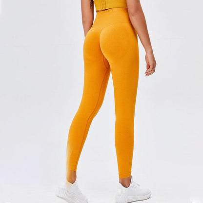 Women seamless orange high-waist leggings with sculpting fit for yoga workouts on Tampa Home & Garden Store