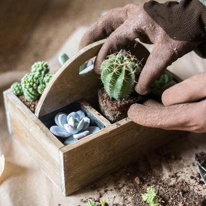 Wooden box basket planter with carry handle featuring three succulents and cacti by RusticReach on Tampa Home & Garden Store
