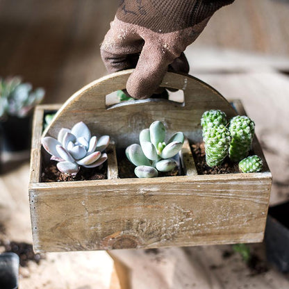 Wooden box basket with carry handle RusticReach weathered planter with three succulents on Tampa Home & Garden Store