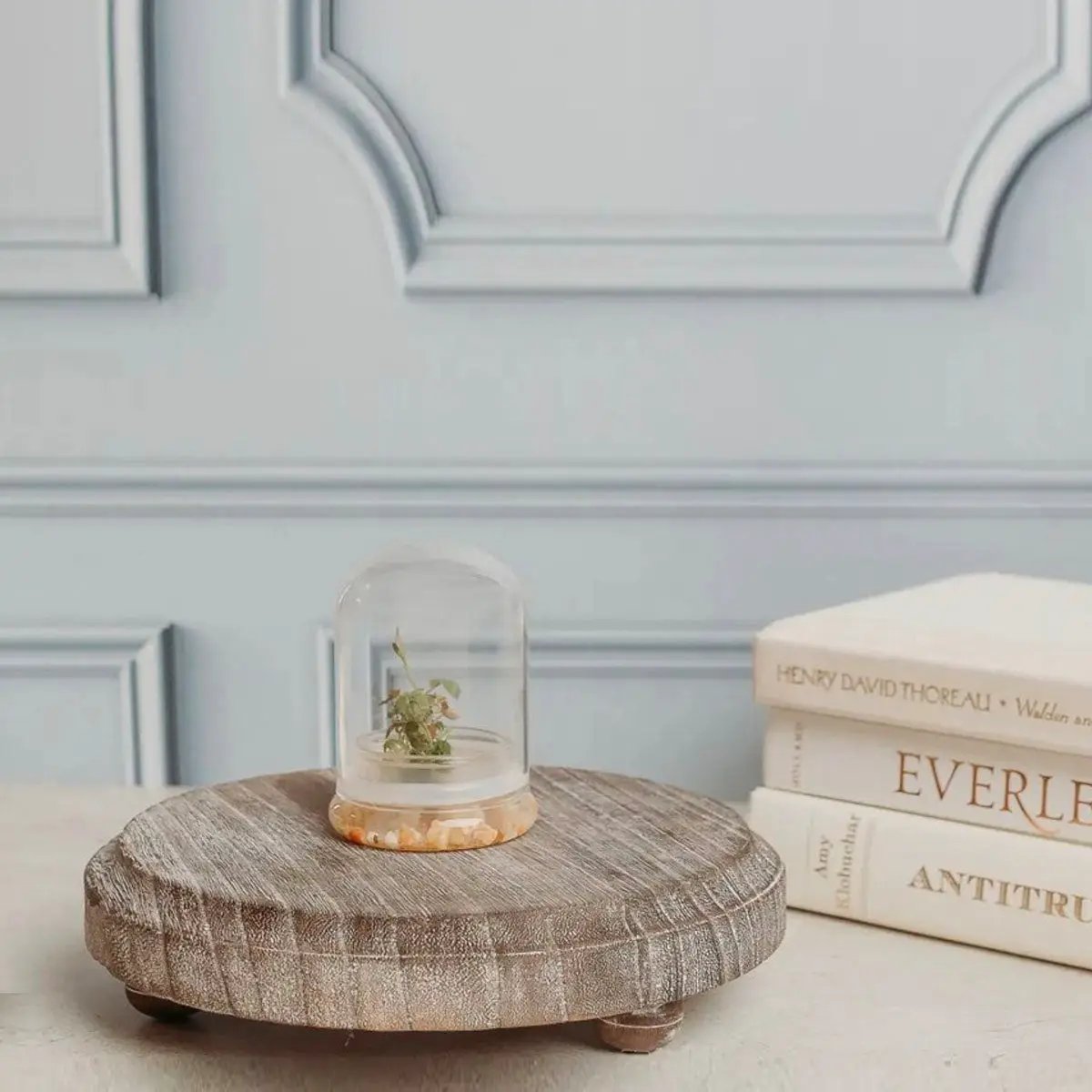 Rustic Round Wood Jewelry Tray on Pedestal natural wood finish Gia Roma Decorative Trays on Tampa Home & Garden Store