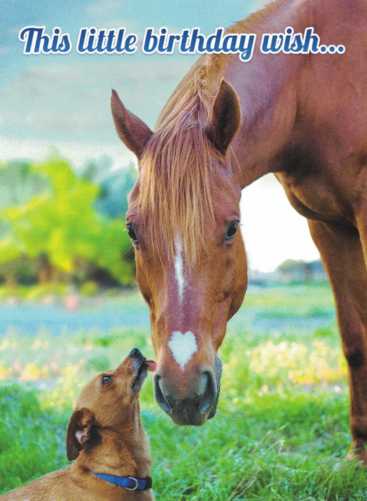 Birthday card for a horse featuring a brown mare and foal in a sunlit green pasture on Tampa Home & Garden Store