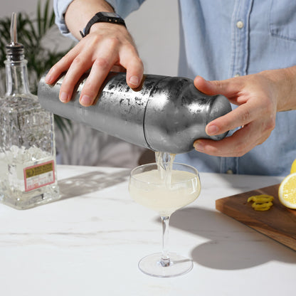 Harrison Stainless Steel and Cocktail Shaker