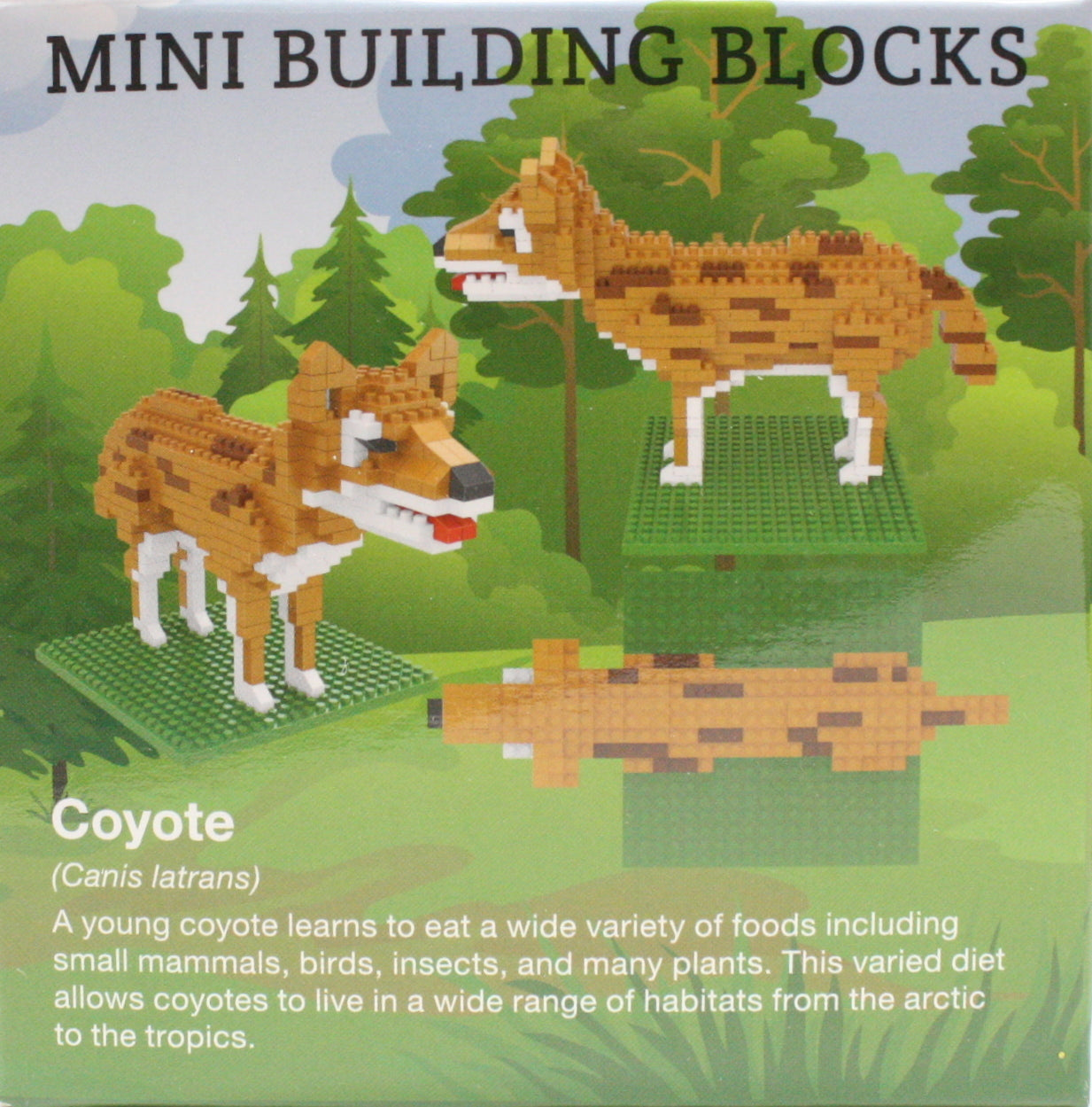 Minibloques de construcción - Coyote