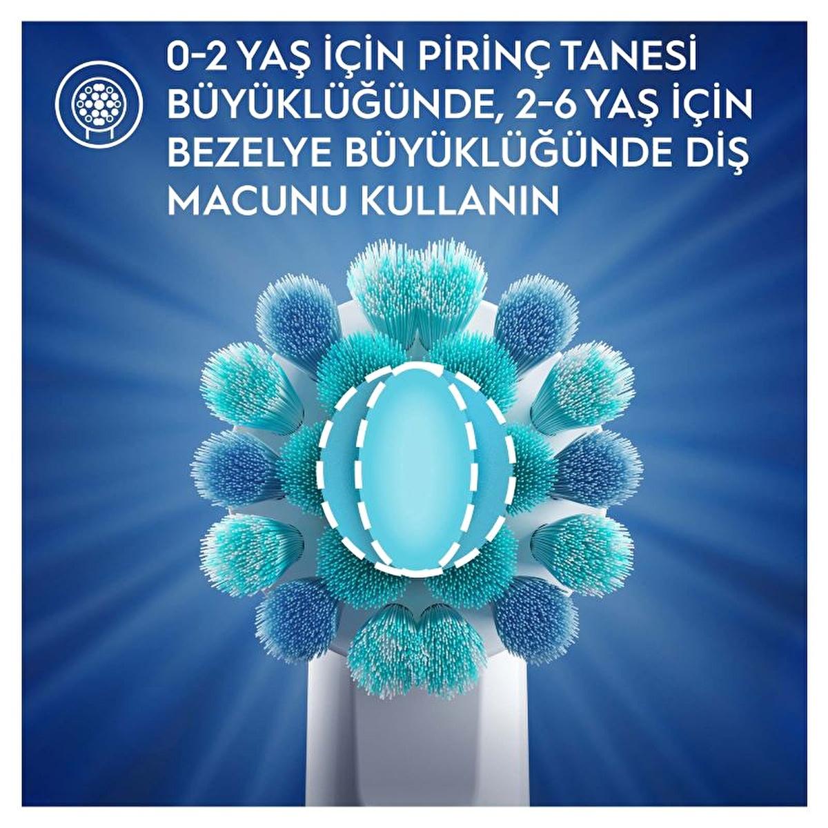 Blue toothbrush head with turquoise bristles around a blue oval against a blue background on Tampa Home & Garden Store