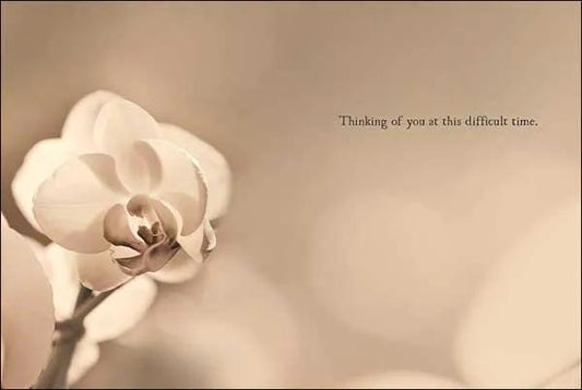 Sympathy card with sepia orchid photo and Thinking of you at this difficult time on Tampa Home & Garden Store
