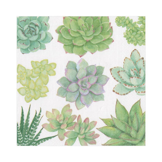 Serviettes de table en papier à motifs de plantes succulentes - Serviettes de table