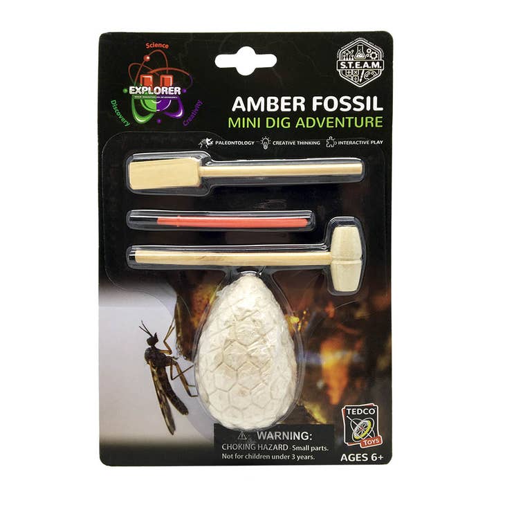 Mini excavación de fósiles de ámbar
