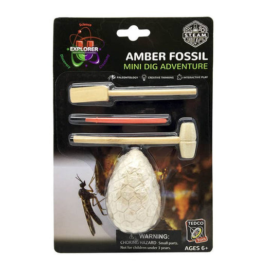 Amber Fossil Mini Dig - Tampa Home & Garden Store