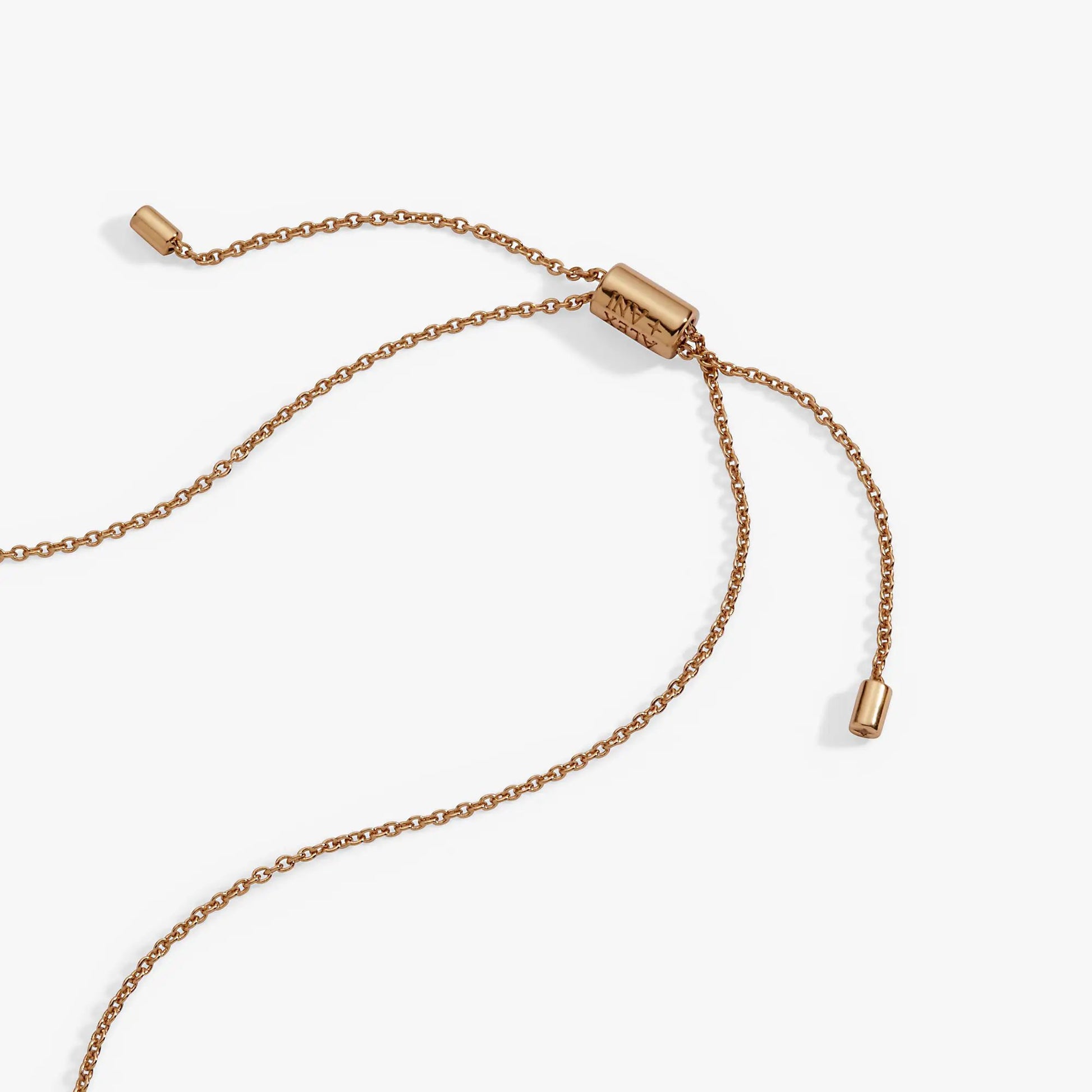You Are Loved Potion Bottle Slider Necklace by Alex and Ani, rose gold chain with ends on Tampa Home & Garden Store