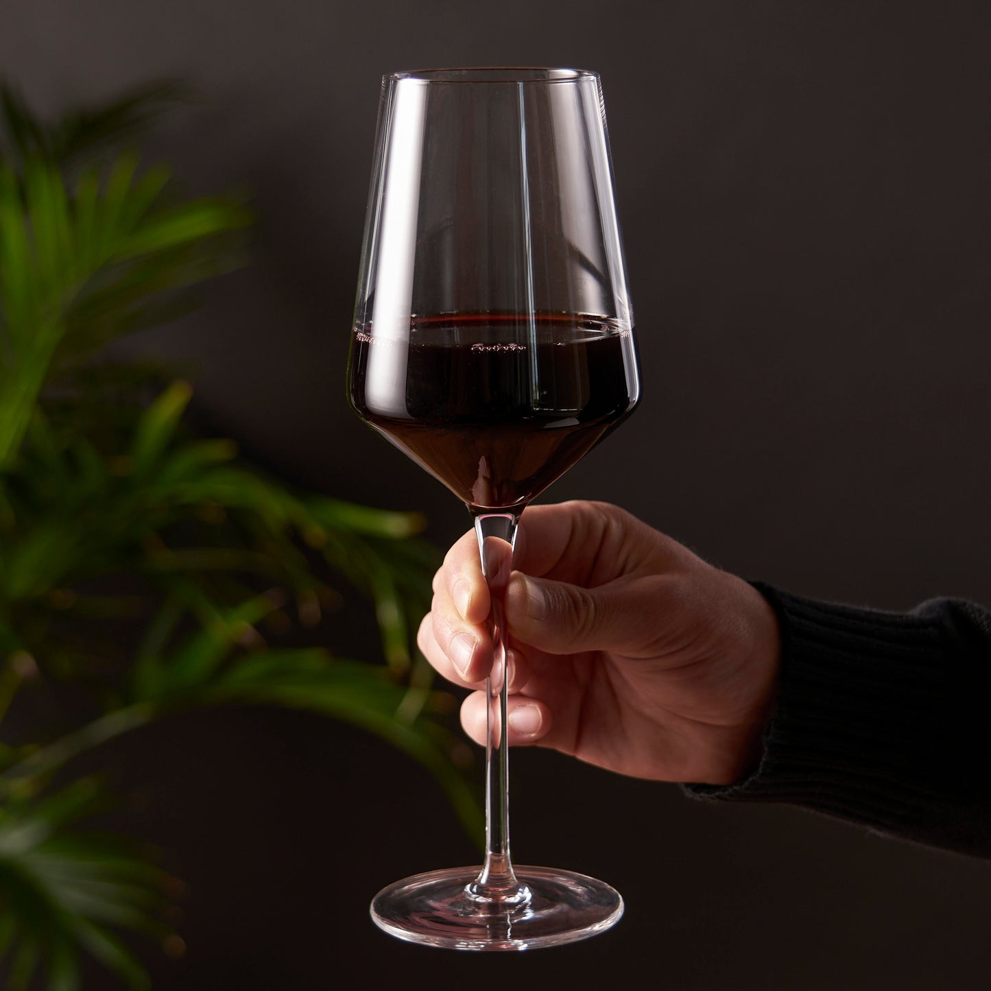 Raye Angled Crystal Bordeaux Stemware Set of 2
