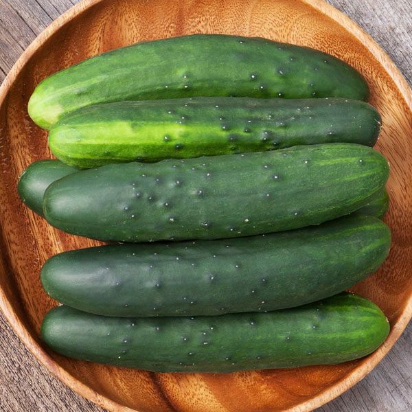 Marketmore 76 cucumber display; five fresh green cucumbers in a wooden bowl on Tampa Home & Garden Store