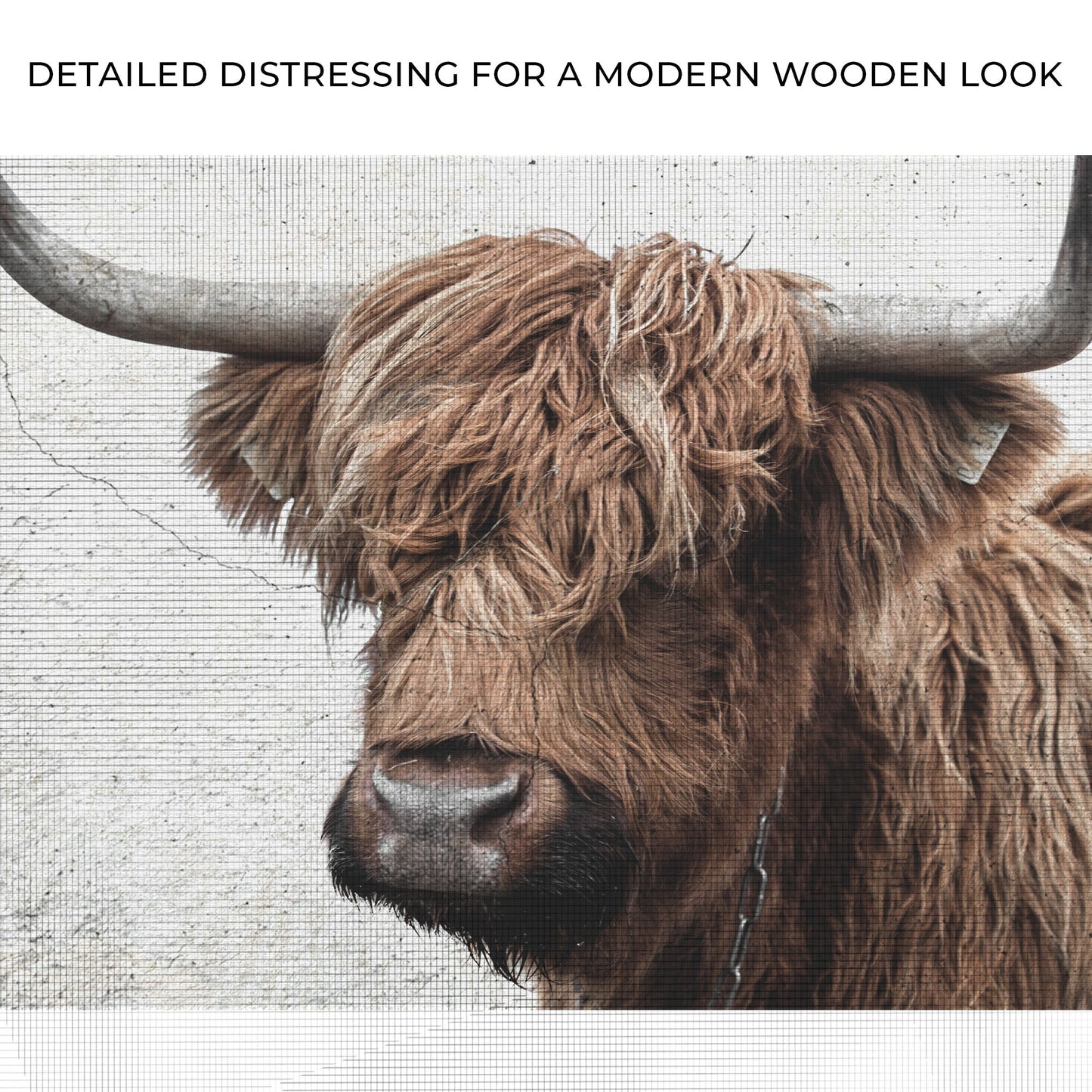 Natural Rustic Highland Cow Canvas Wall Art Tailored Canvases reddish brown fur on Tampa Home & Garden Store