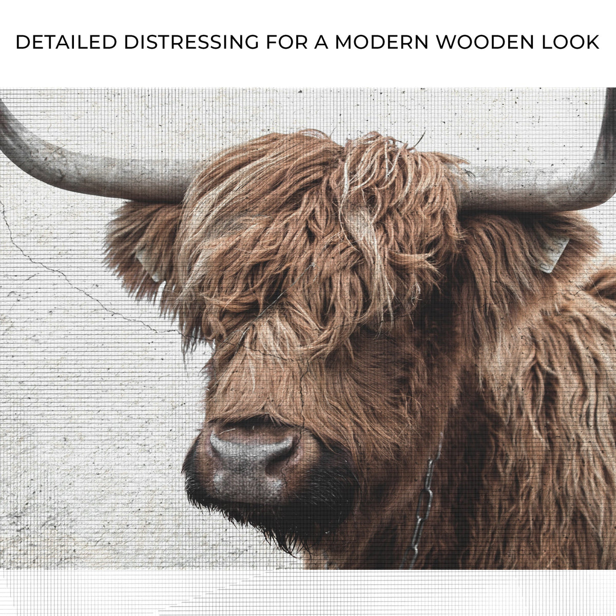 Natural Rustic Highland Cow Canvas Wall Art Tailored Canvases reddish brown fur on Tampa Home & Garden Store